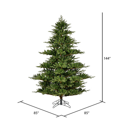 Vickerman 12' x 85" Sherwood Fir Artificial Christmas Tree Unlit