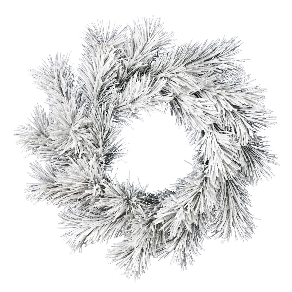 Vickerman 24" Frosted Beckett Pine Artificial Christmas Wreath Unlit