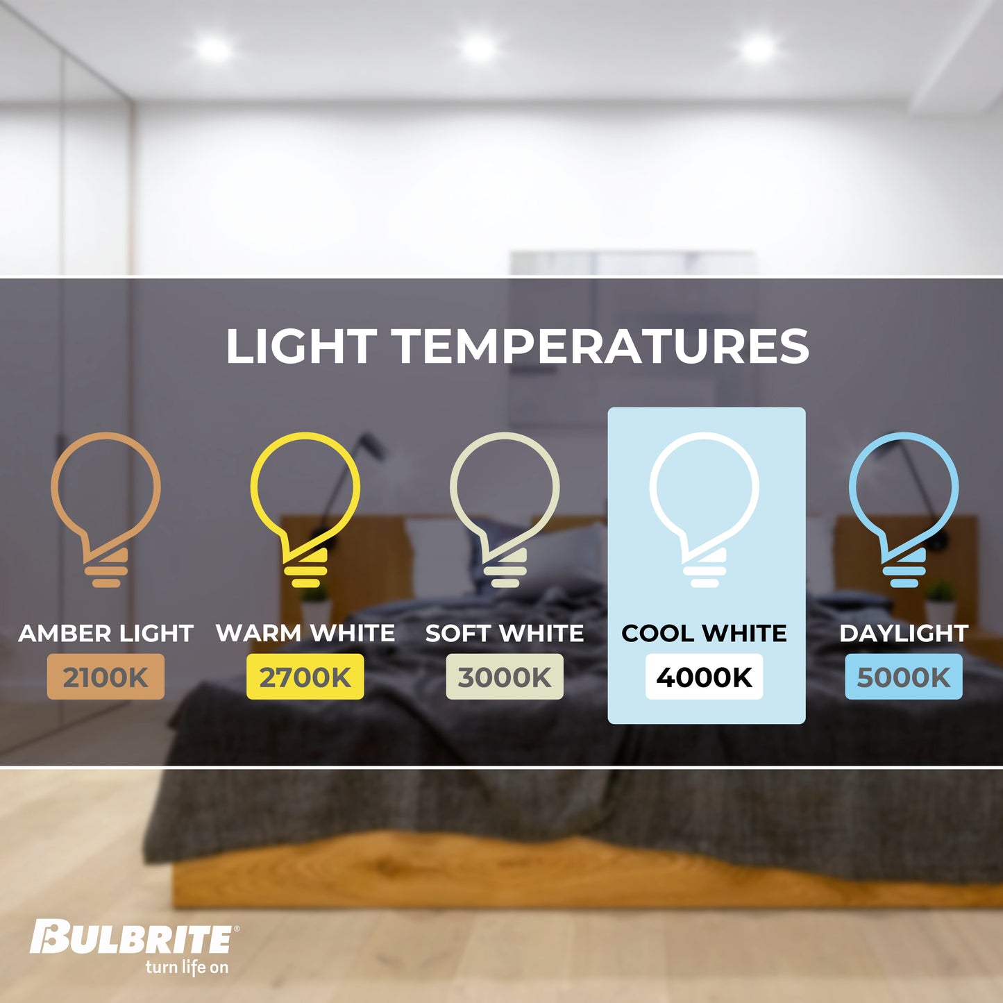 Bulbrite 774264 LED Filament 9 Watt Dimmable A19 Light Bulb with Frost Finish and Medium Screw E26 Base - 4000K(Cool White Light), 800 Lumens