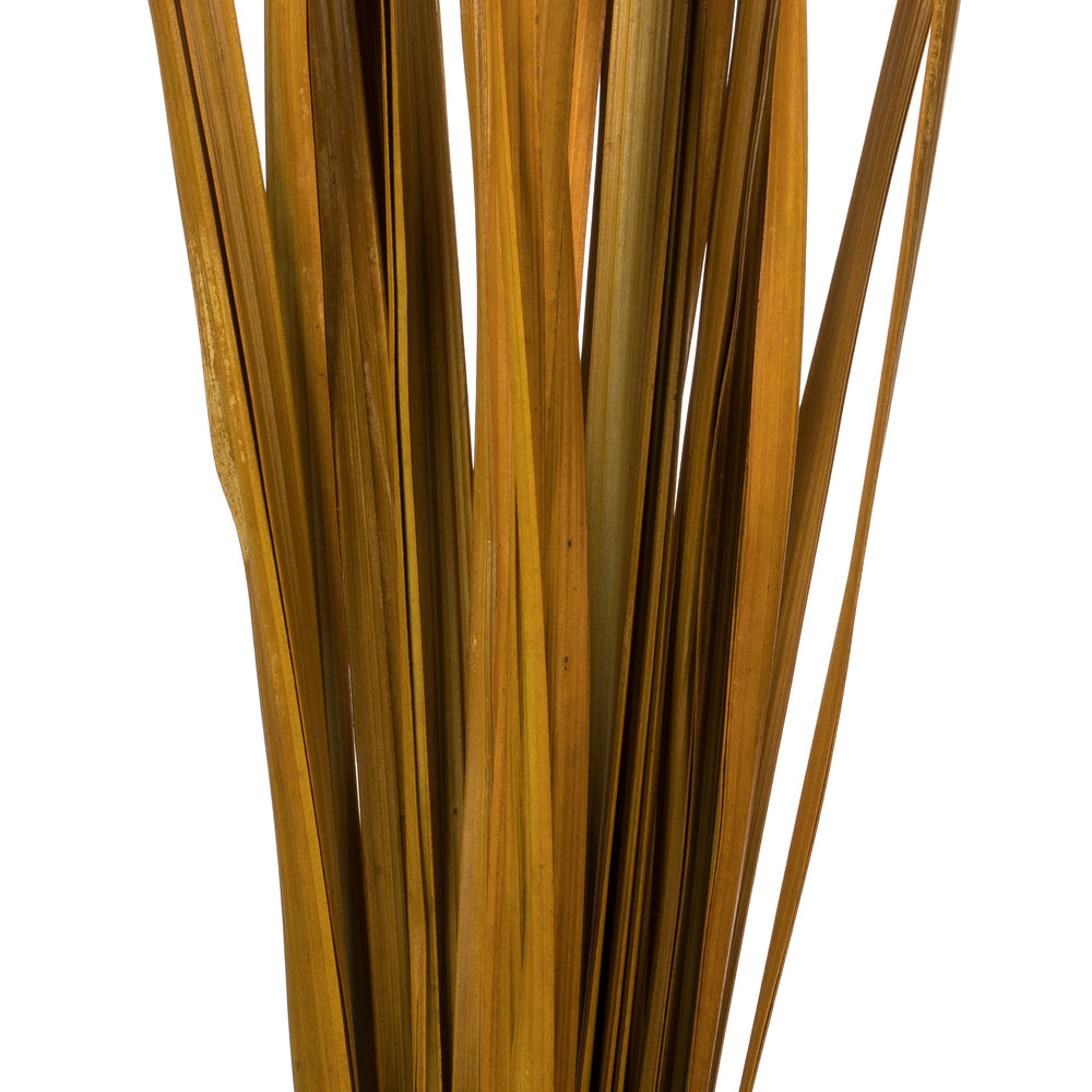 Vickerman 36-40" Aspen Gold Sable Grass 7 oz Bundle Dried