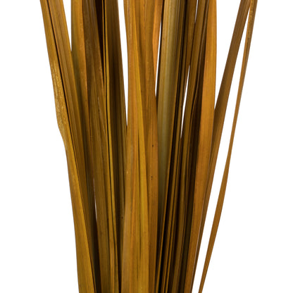 Vickerman 36-40" Aspen Gold Sable Grass 7 oz Bundle Dried