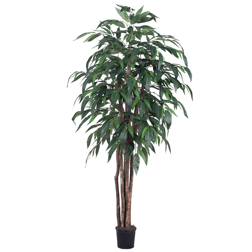 Vickerman 6' Artificial Mango Executive Black Plastic Pot