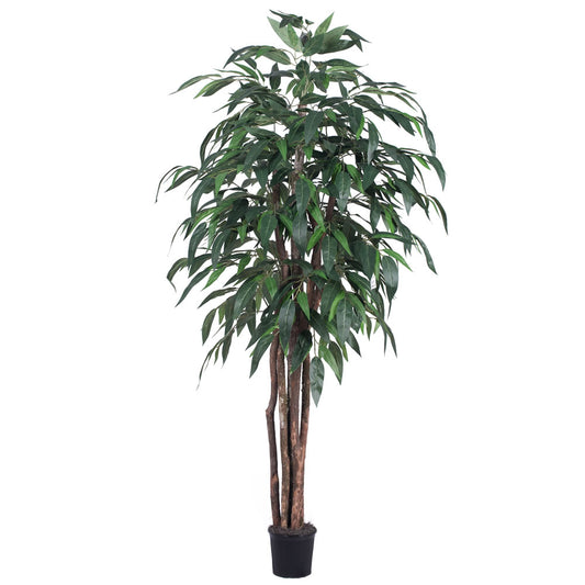 Vickerman 6' Artificial Mango Executive Black Plastic Pot