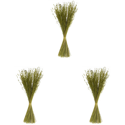 Vickerman 30" Basil Princess Grass. Comes in 21oz (3 -7oz Bundles) Dried