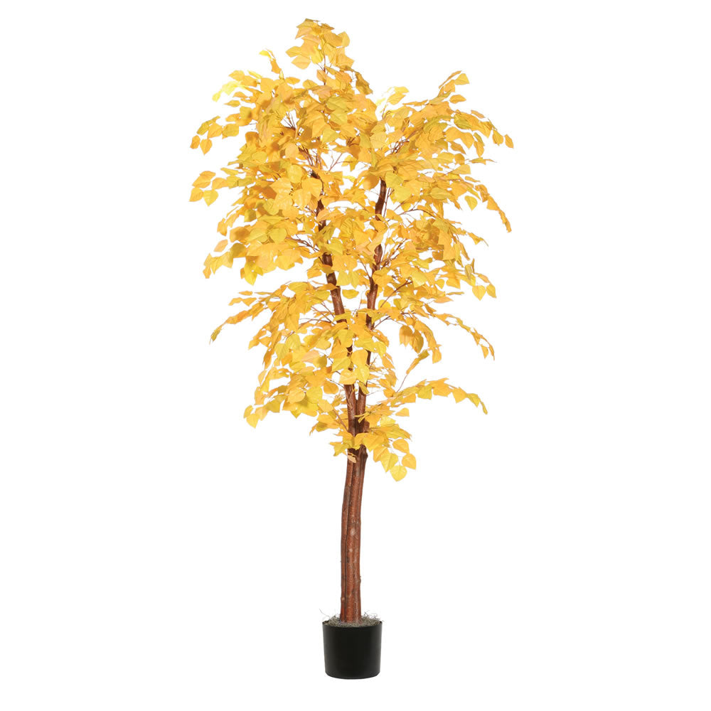 Vickerman 6' Artificial Golden Aspen Deluxe Black Plastic Pot