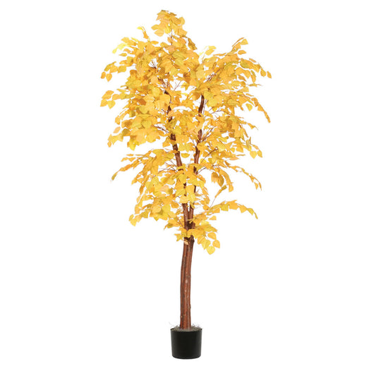 Vickerman 6' Artificial Golden Aspen Deluxe Black Plastic Pot