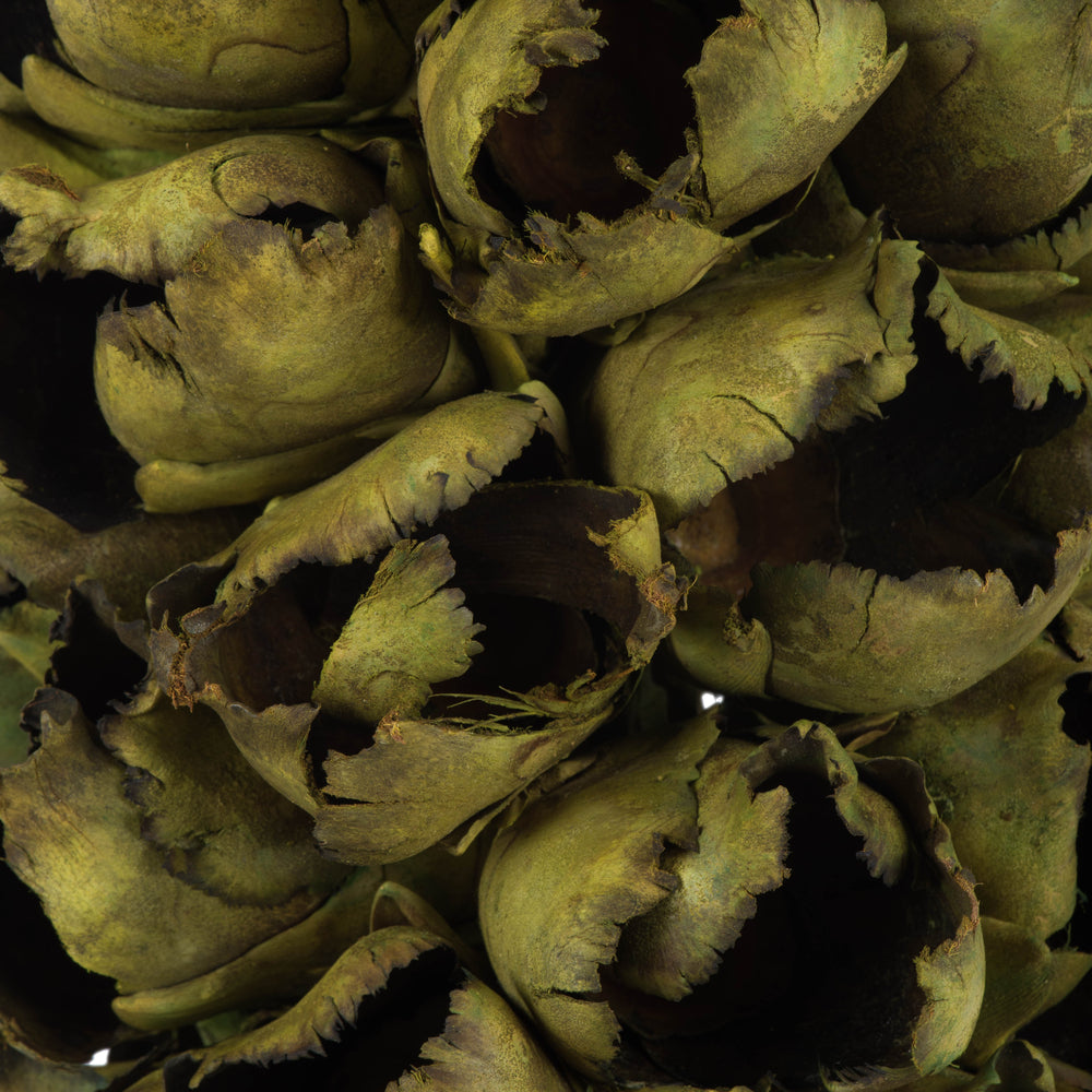 Vickerman 26-28" Basil Giant Seed Pod - Half