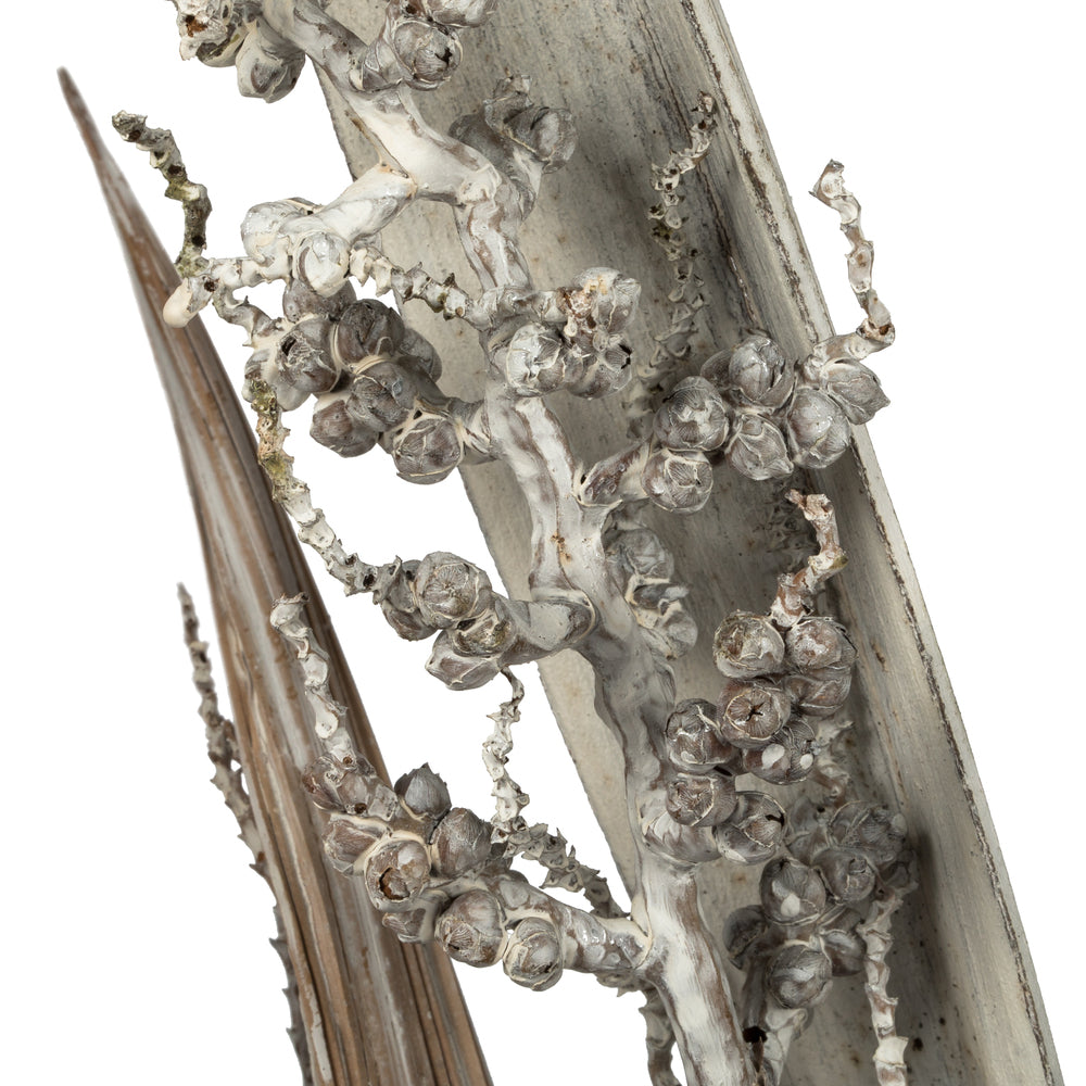 Vickerman 36" White Wash Bahia Spears with Seeds 2 pack Dried