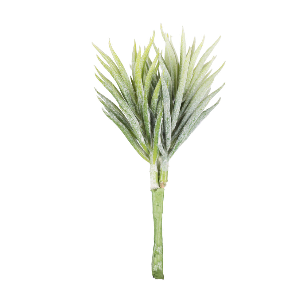 Vickerman 5" Artificial Green and White Seneco Succulent Pick 6 Pack.