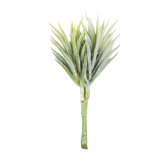 Vickerman 5" Artificial Green and White Seneco Succulent Pick 6 Pack.