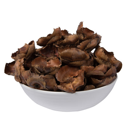 Vickerman Natural Botanicals 2.75" Palm Cap Natural. Includes 100 pieces per Pack.