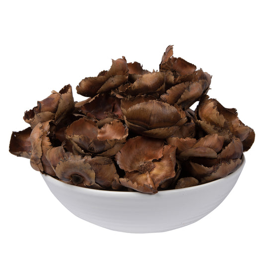 Vickerman Natural Botanicals 2.75" Palm Cap Natural. Includes 100 pieces per Pack.