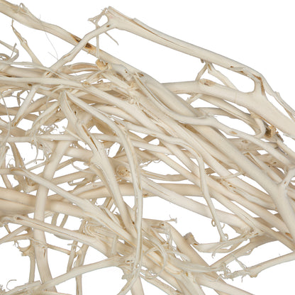 Vickerman Natural Botanicals 32" Begun Tree Bleached. Includes 5 pieces per Pack.