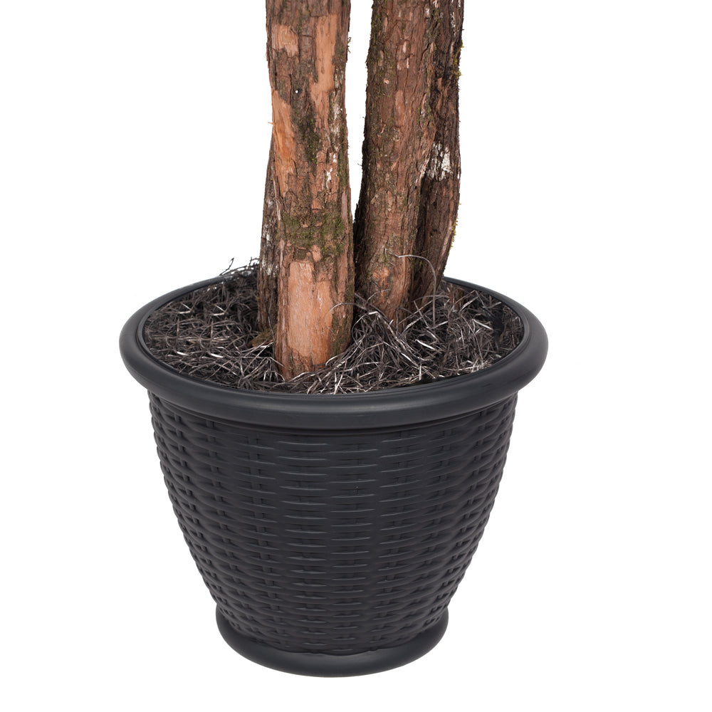 Vickerman 4' Artificial Ming Aralia Bush Brown Plastic Container.
