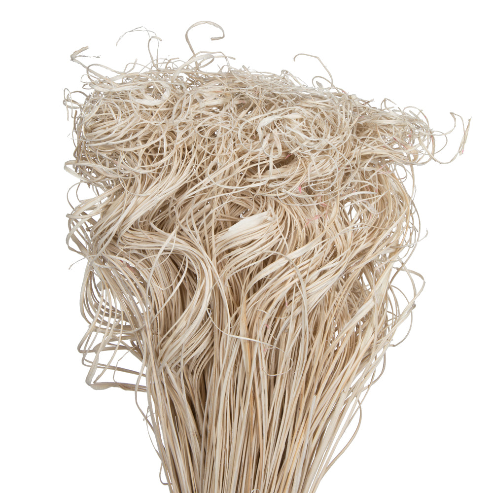 Vickerman Natural Botanicals 24" Curly Ting Ting Bleached. 6 bunches per Pack (100 grams open bunch).