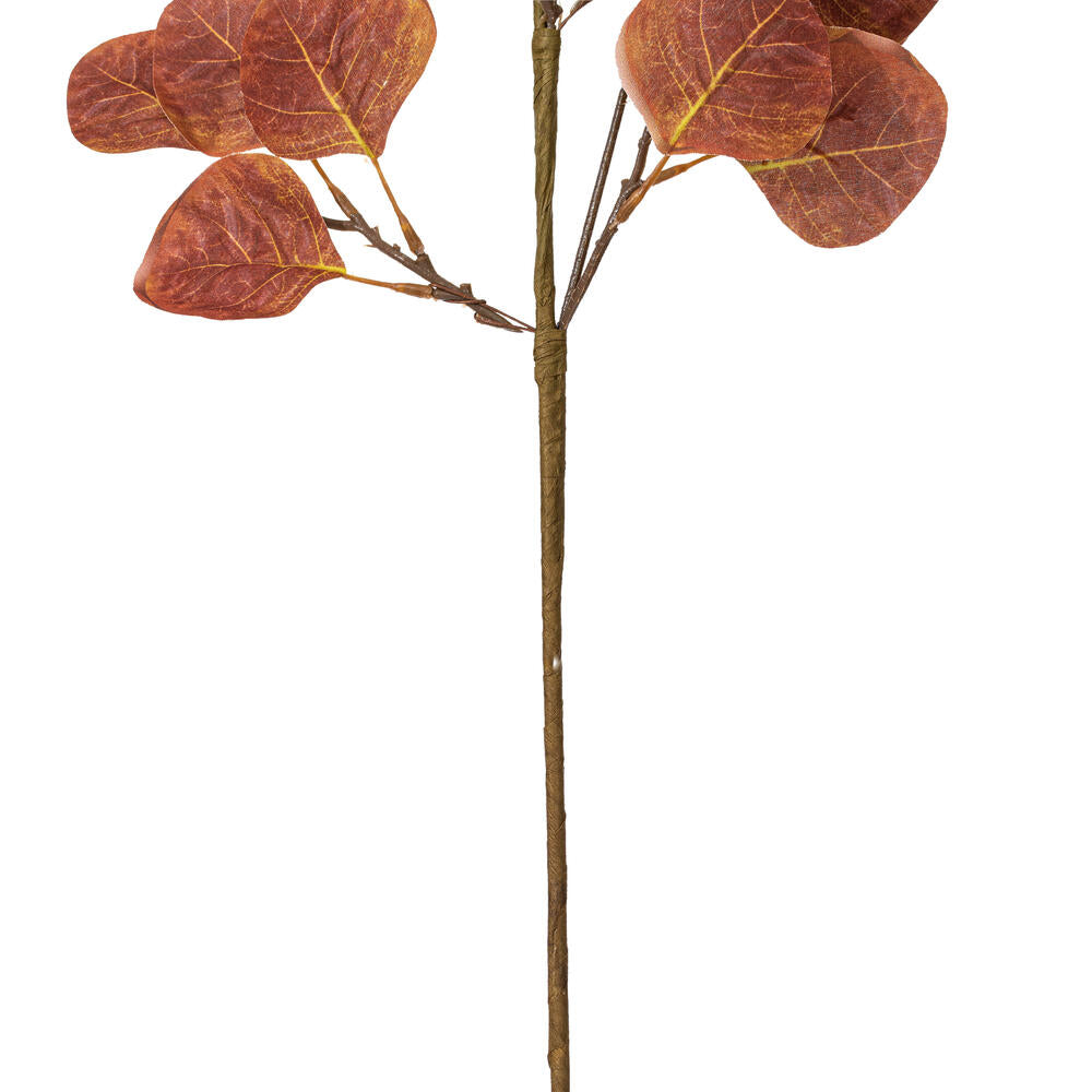 Vickerman 32" Dark Brown Artificial Silver Dollar Eucalyptus Leaf Spray 3 per bag.