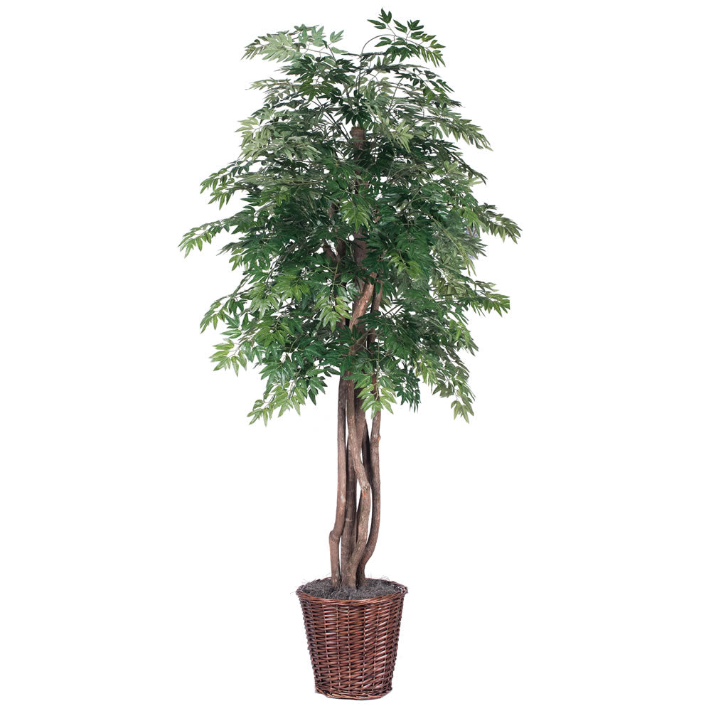 Vickerman 6' Artificial Ming Aralia Executive Rattan Basket.