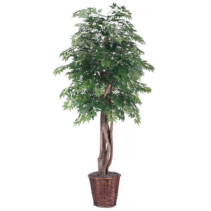 Vickerman 6' Artificial Ming Aralia Executive Rattan Basket.