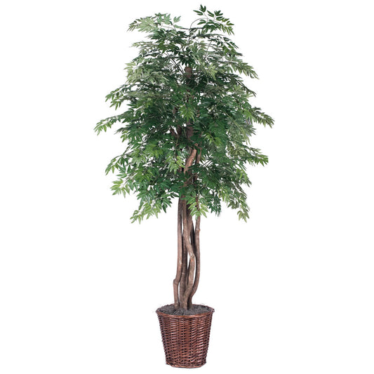 Vickerman 6' Artificial Ming Aralia Executive Rattan Basket.