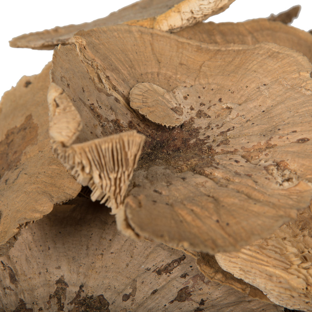 Vickerman Natural Botanicals 4"-6" Sponge Mushroom Medium. Includes 50 pieces per Pack.