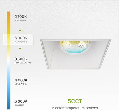 ASD Lighting LED Trimless Downlight Gimbal Square 2inch 8W 120V Triac 2700/3000/3500/4000/5000K White ETL
