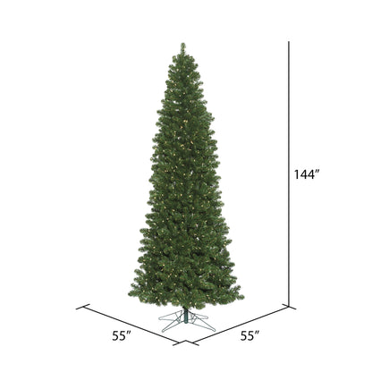 Vickerman 12' Oregon Fir Slim Artificial Christmas Tree Warm White LED Lights