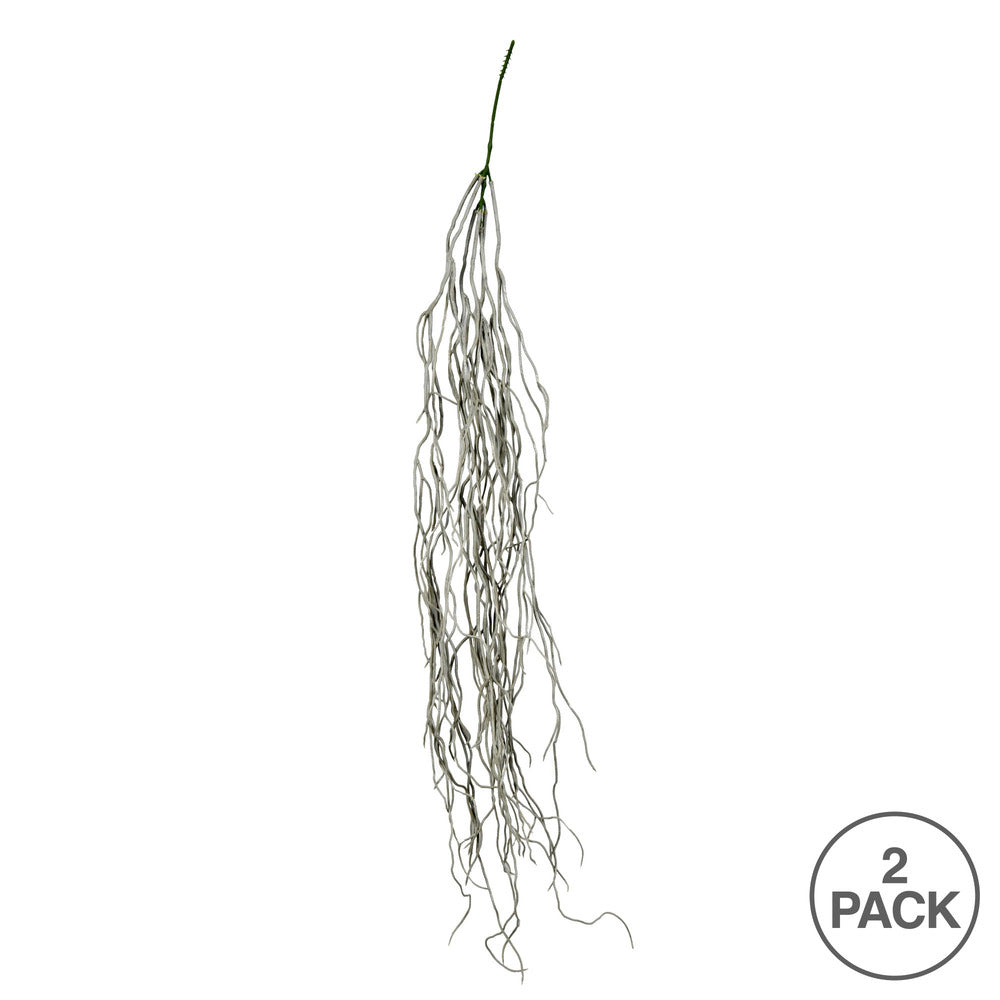 Vickerman 37" Artificial Gray Trailing Succulent Bush Pack of 2
