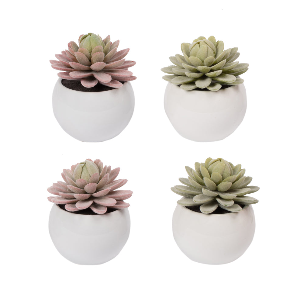 Vickerman 3.5" Artificial Green Succulents Assorted Set in Containers 4/pk