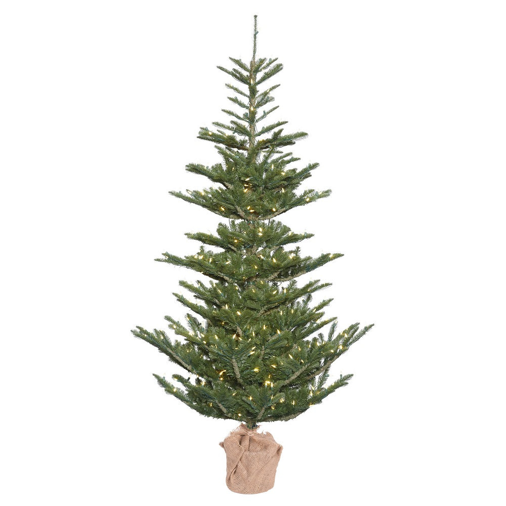 Vickerman 5' Alberta Spruce Artificial Christmas Tree Warm White Dura-lit LED Lights