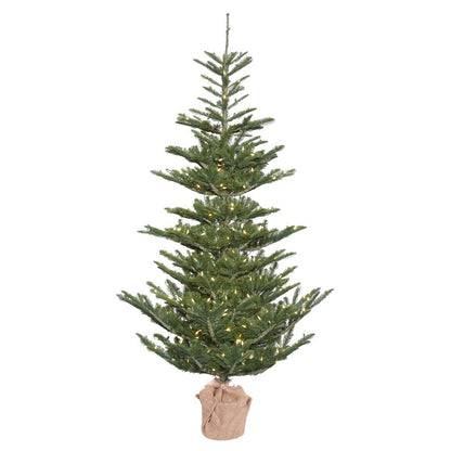 Vickerman 5' Alberta Spruce Artificial Christmas Tree Warm White Dura-lit LED Lights
