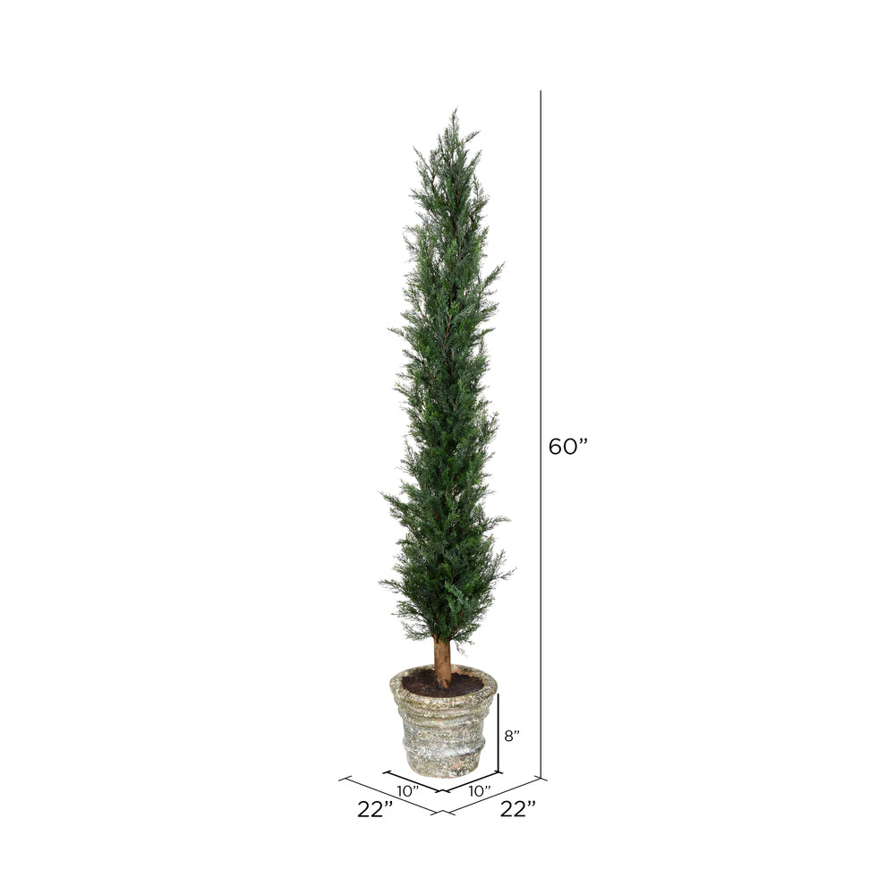 Vickerman 60" Artificial Potted Cedar Tree in Paper Pot.