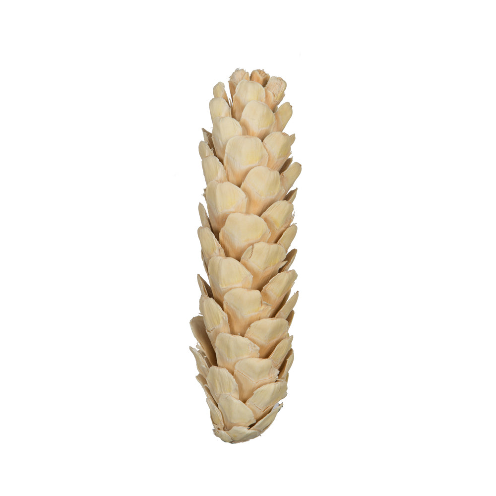 Vickerman Natural Botanicals 3.14" Strobus Small Bleached. Includes 20 pieces per unit