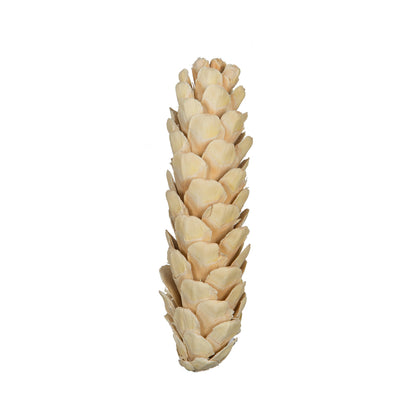 Vickerman Natural Botanicals 3.14" Strobus Small Bleached. Includes 20 pieces per unit