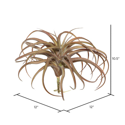 Vickerman 10.5" Artificial Red Tillandsia Pick.