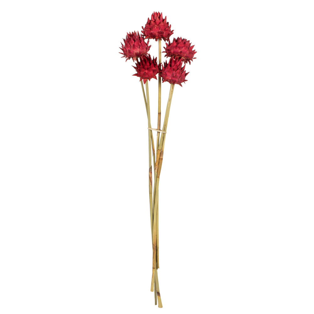 Vickerman 15" Red Artichoke Head attached to a Reed Stem.  Includes 9 Stems per Pack Dried