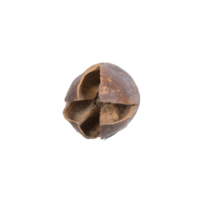 Vickerman Natural Botanicals 0.78" Bakuli Natural. Includes 6.6Lb per Pack