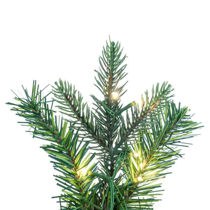 Vickerman 24" Douglas Fir Artificial Pre-Lit Wreath with Dura-Lit® Warm White LED Mini Lights.