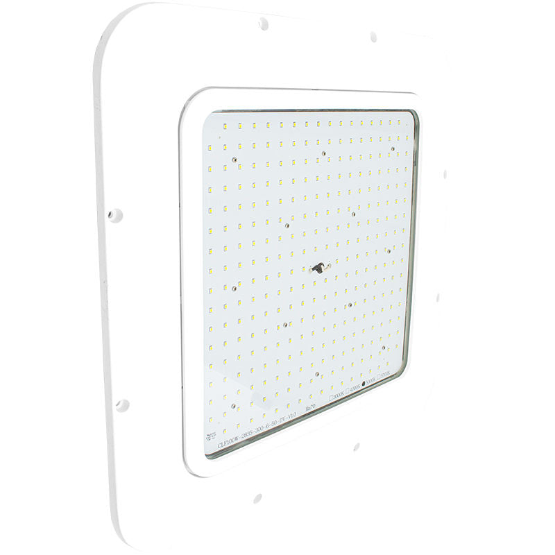 Westgate X-Gen  Under-Canopy Light Adj. 80W-150W 50K 120-277V 0-10V, Outdoor Lighting, 80W/100W/120W/150W, 140 Lumens/W, 5000K, Bronze 0~10V Dimmable