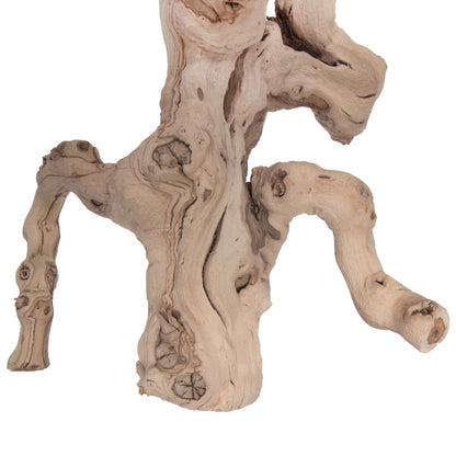 Vickerman Grapewood Sand Blasted Branch 36" Dried