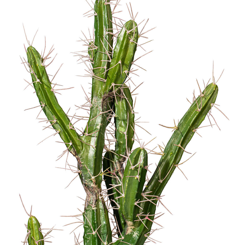 Vickerman 34" Artificial Green Cactus Black Plastic Planters Pot.