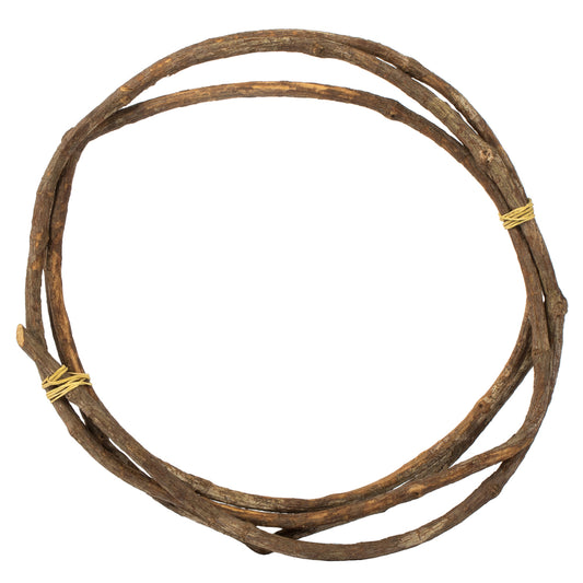 Vickerman 95-100" Natural Tranca Vine Coil 1 coil Dried