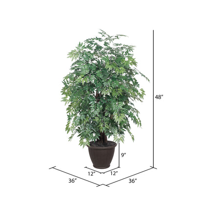 Vickerman 4' Artificial Ming Aralia Extra Full Bush Brown Plastic Container.