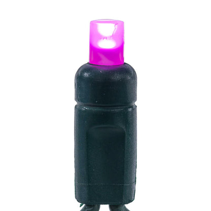 Vickerman 50 Multi-Colored Wide Angle Single Mold LED Light Set