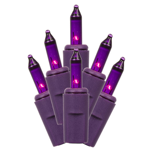 Vickerman 35 Purple Dura-lit Mini Light on Purple Wire, 26' Christmas Light Strand