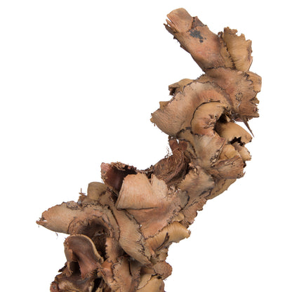 Vickerman Natural Botanicals 8"-10" Palm Female. Includes 10 pieces per Pack.