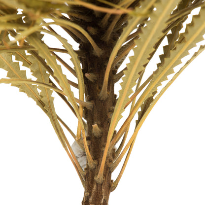 Vickerman 12" Basil Banksia Flower. Includes 25 Stems per Pack. Dried