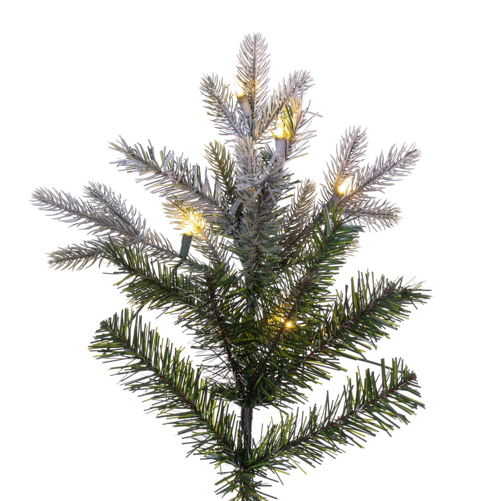 Vickerman 10' x 54" Frosted Douglas Fir Artificial Pre-Lit Christmas Tree Warm White LED Mini Lights.