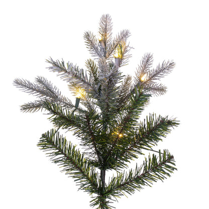 Vickerman 10' x 54" Frosted Douglas Fir Artificial Pre-Lit Christmas Tree Warm White LED Mini Lights.