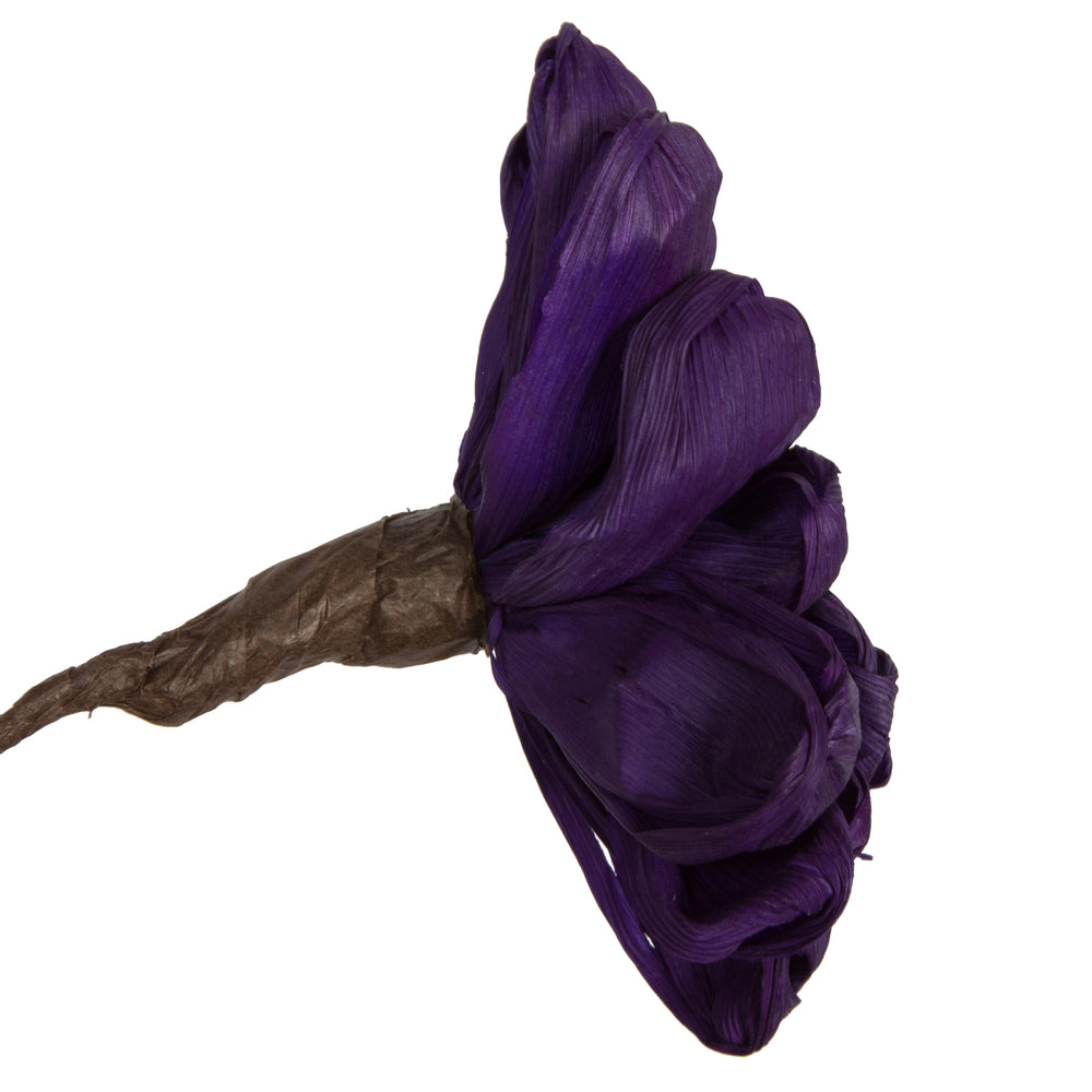 Vickerman Natural Botanicals 6" Violet Maize Dahlia. 6 stem/bag. Dried and preserved.
