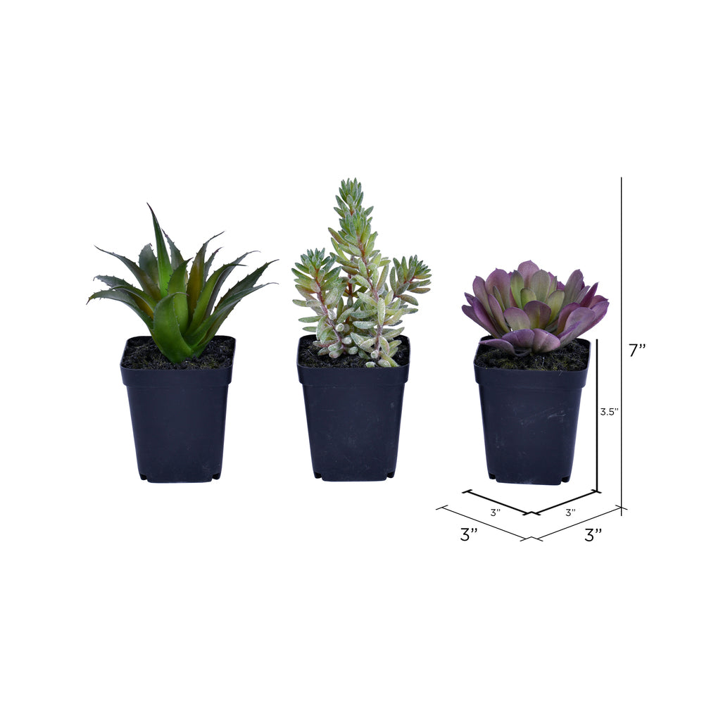 Vickerman 7" Artificial Succulent Black Plastic Planters Pot Set of 3